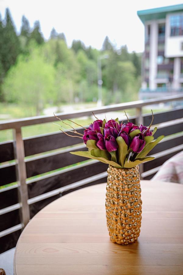 Silver Mountain Resort & Spa Brassópojána Kültér fotó